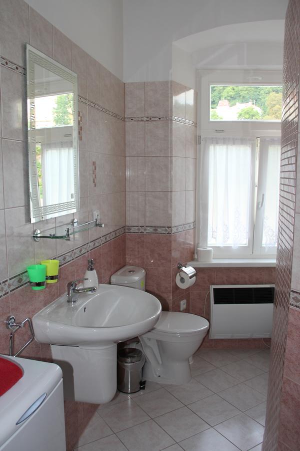 דירות Karlovy Vary Zamecky Vrch מראה חיצוני תמונה